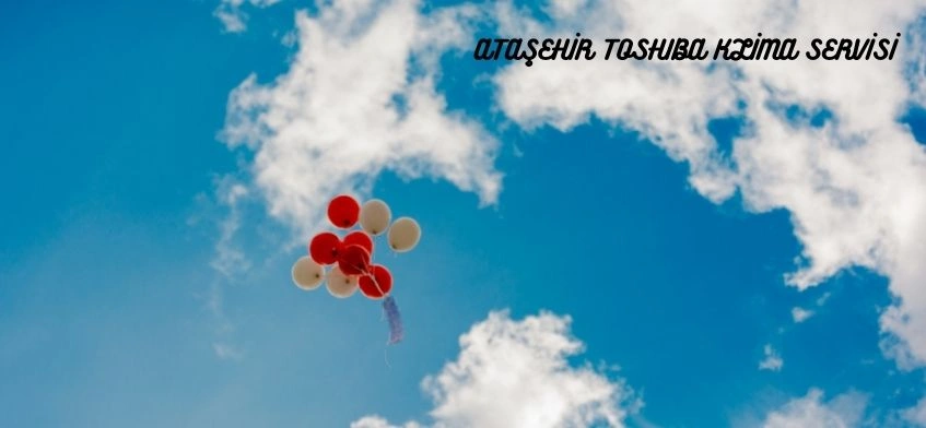 Maltepe Toshiba Klima Servisi