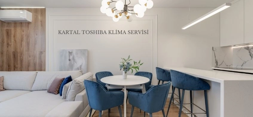 Kartal Toshiba Klima Servisi